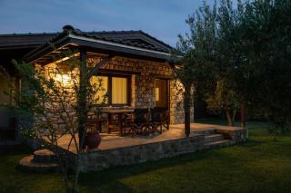 Olive Garden Toroni - Torone - 0