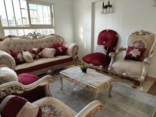 Newly Furnished Apt in Alex - 9