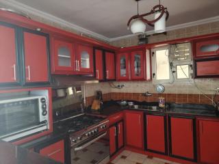 Newly Furnished Apt in Alex - 6