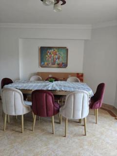 Newly Furnished Apt in Alex - 1