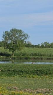 la petite cabane - 2