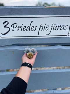 3Priedes pie jūras - 9