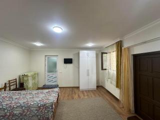 David's entire place 2 - Borjomi - 8