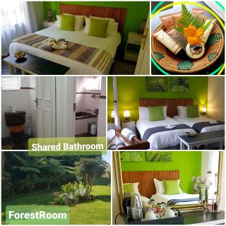 Paradise View Guesthouse - Graskop - 4