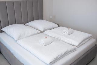 Silver Moon Residence 1 - Arad - 6