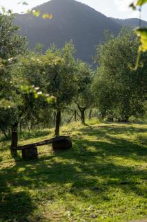 Agriturismo I due Ghiri - Cinque Terre - Calice al Cornoviglio - 4