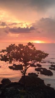 Glass Palace House Rental - 5