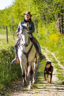 studio vacances au cœur d'un ranch - Labretonie - 1
