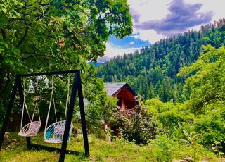 Likani house - Bordschomi - 7