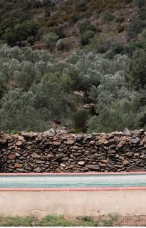 Mas Estela Lilà - Selva de Mar - 3