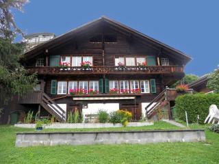 Cosy Swiss Apartment - Grindelwald - 8