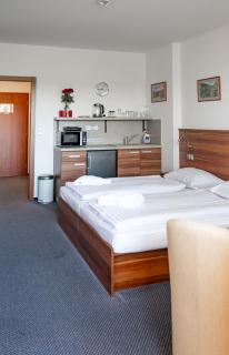 Lipno Wellness - Frymburk C 401 - Frymburk - 9