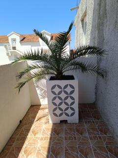Apartman Antea Hvar - Hvar - 9