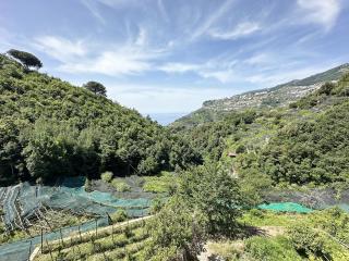 Casa Sangineto - Minori - Costa Amalfitana- A Paradise in the countryside - Minori - 0