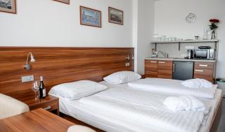 Lipno Wellness - Frymburk C 402-403 - Frymburk - 9