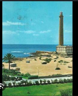 La Casablanca - Pasito Blanco - 9