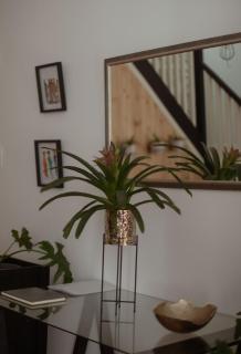 Hibiscus House - Joanesburgo - 8