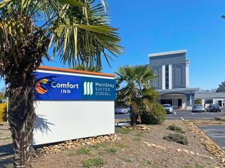 Comfort Inn Conover-Hickory - 9