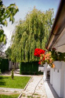 Mafmaf Tiny Houses - 7