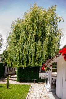 Mafmaf Tiny Houses - Mamaia Nord – Năvodari - 6