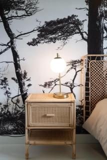 Gite "LES SAULES" - Calme & Confortable - Lit QUEEN SIZE - Vue sur étang à 10mn du TOUQUET - 6