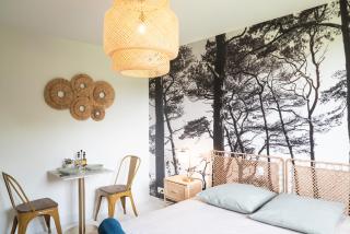 Gite "LES SAULES" - Calme & Confortable - Lit QUEEN SIZE - Vue sur étang à 10mn du TOUQUET - 4