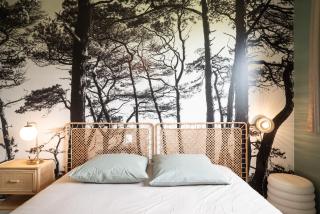 Gite "LES SAULES" - Calme & Confortable - Lit QUEEN SIZE - Vue sur étang à 10mn du TOUQUET - 8