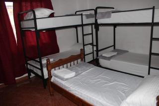 Crew Hostel Tirana - Tirana - 4