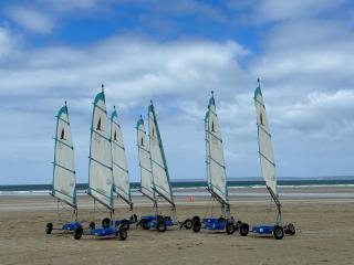 Les sternes - Telgruc-sur-Mer - 9