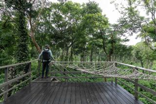 Stayvista at Coffee & Mist Luxury Villa - Comp Breakfast, Pvt Pool,Bonfire - 3