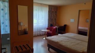Hotel Le Cedre - Bex - 2