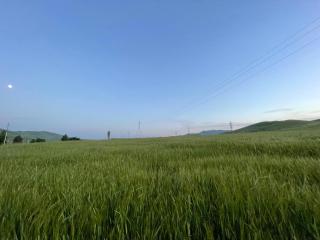 A frame house - Slavyanka - 6