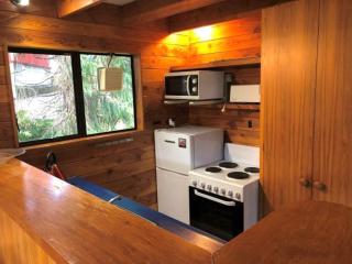 Snow Chalet - Ohakune Chalet - Ohakune - 5