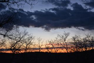 Anima Gea Experience - 5