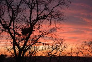 Anima Gea Experience - 6