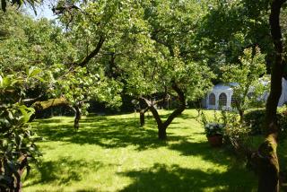 Anima Gea Experience - 2