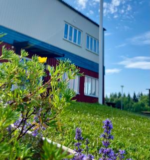 Näskottshallen - Nälden - 4