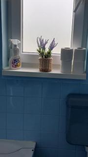 Apartman Nikolina - 1