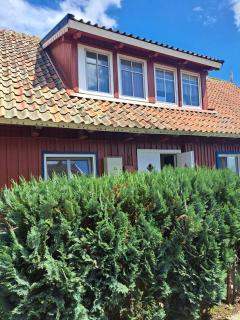 Dviejų kambarių butas Nidoje prie Kuršių marių Pas Genutę - 3