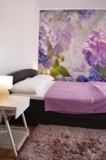 Apartment Yelena Rose West - Zadar - 3