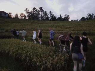 Green Ponci Retreat By Balitrees - 8