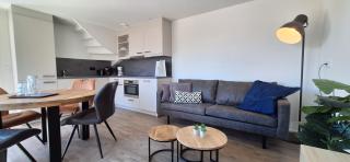 103D nieuwe vakantiewoning met sauna - Westkapelle - 8