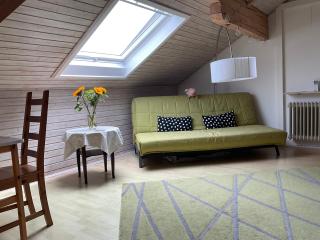 Gemütliche Dachwohnung am Tor zum Schwarzwald - Bischweier - 4