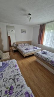 Apartmani Proleće - Jošanička Banja - 7