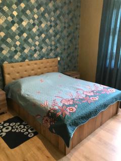 Nikas Guesthouse - Borjomi - 0
