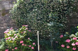 Appennino Via Roma 66 - 5