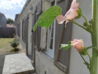 La cachette maison de ville - Saint-Pierre-dʼOléron - 9