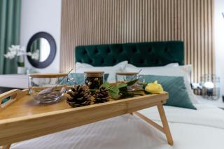 Invivo Luxury Apartment - 4