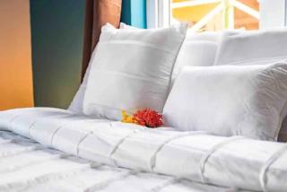 Beach Life Apartments - Jan Thiel - 2