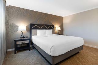 Best Western Plus Inn at the Vines - Napa - 5